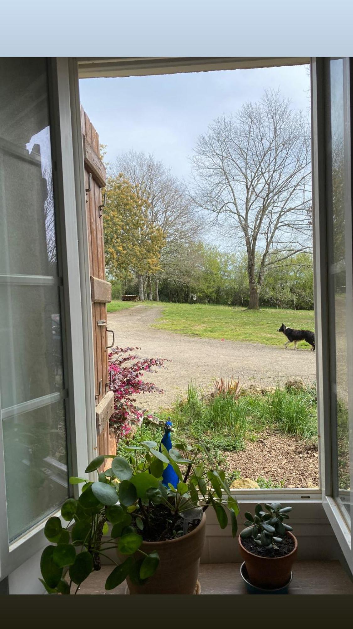 La Bastide Bed & Breakfast Armous-et-Cau Luaran gambar